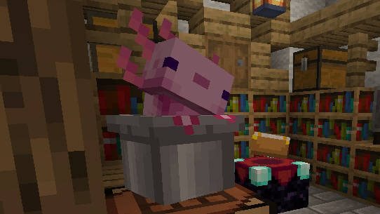 《Minecraft》Alittl Axolotl & Friends — 在桶子裡搖頭晃腦的墨西哥鈍口螈