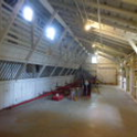 View album