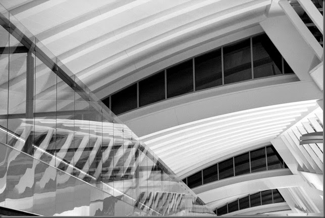 _MG_0226