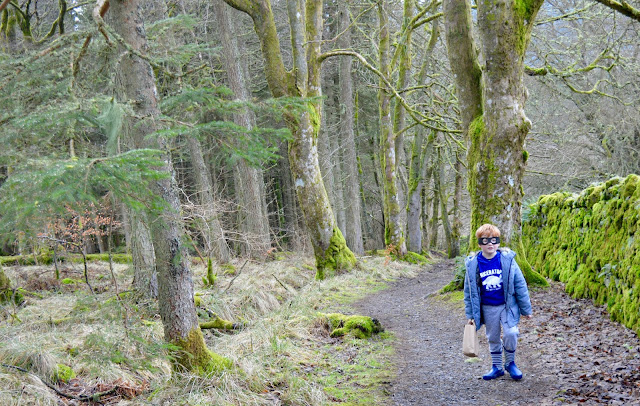 10 of the best family walks in North East England with a cafe and play park nearby