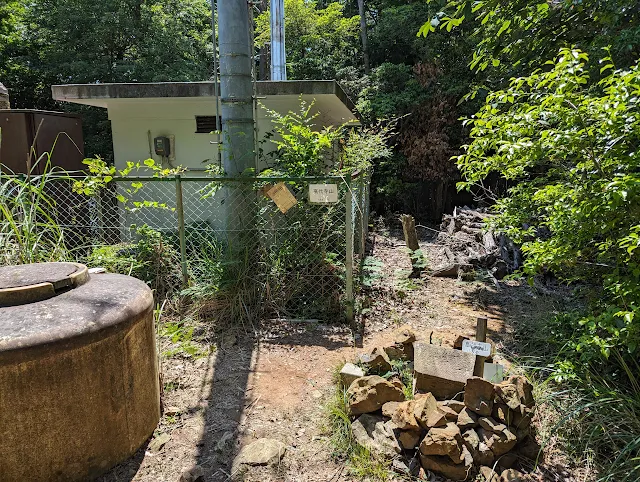 山頂はこんな感じ・・・