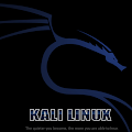 Kali Linux : An advanced Penetration Testing and Security Auditing Linux distribution