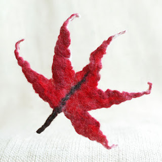 Red maple leaf