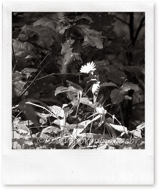 P1410440