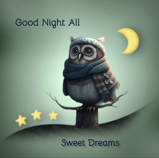 Good Night