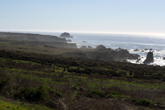 pacific coast carmel california