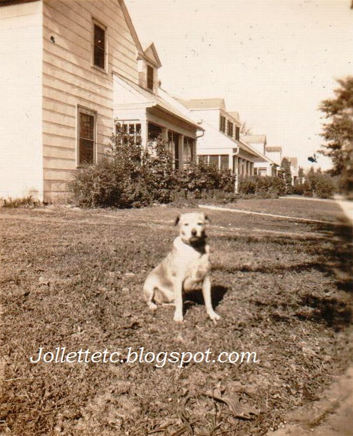 Dog on Farragut Street, Portsmouth, VA mid 1940s http://jollettetc.blogspot.com
