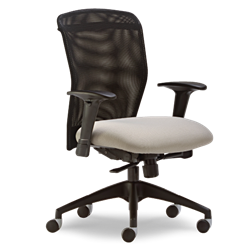 Free Shipping Office Chairs