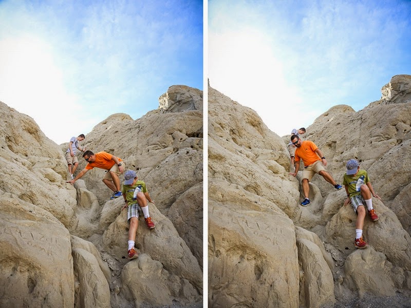 orocopia climbing down