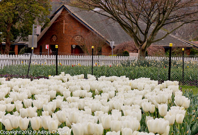 Corbett Garden, Bowral