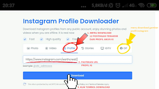 Instagram Profile Downloader & unduh gambar profil full size