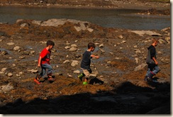 boys in rocks at low tide