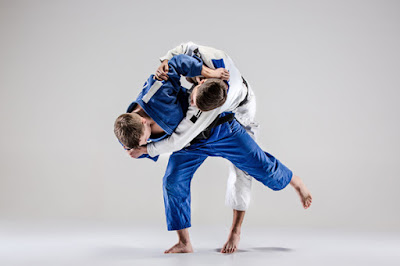 فن الجودو - Judo Art