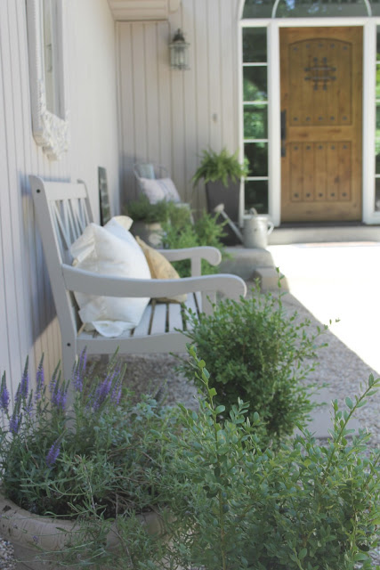 Beautiful French inspired courtyard with boxwood, lavender, and knotty alder door - Hello Lovely Studio