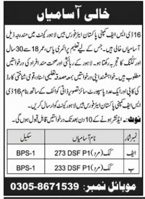 16 DSF Company Management Posts Lahore 2023