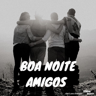 boa noite amigos