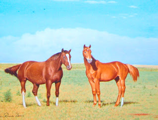 caballos