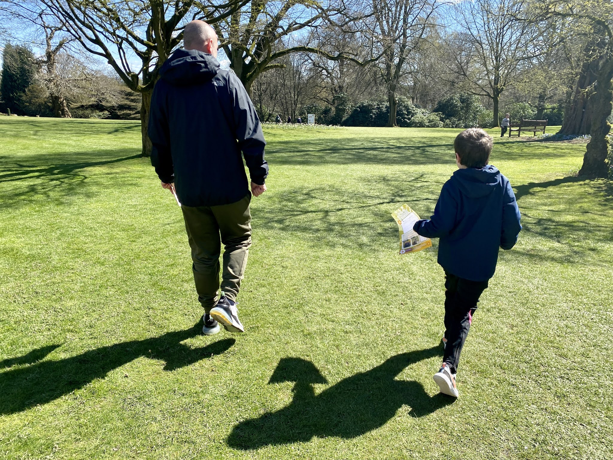 boy on grass