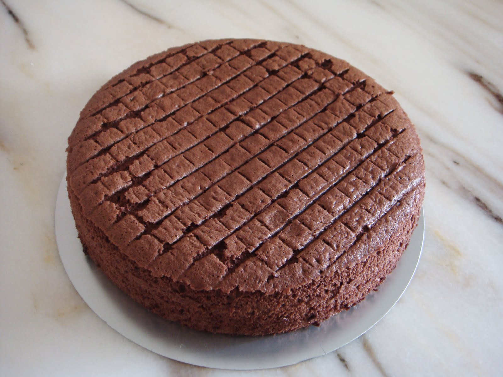 Chocolate Sponge Cake