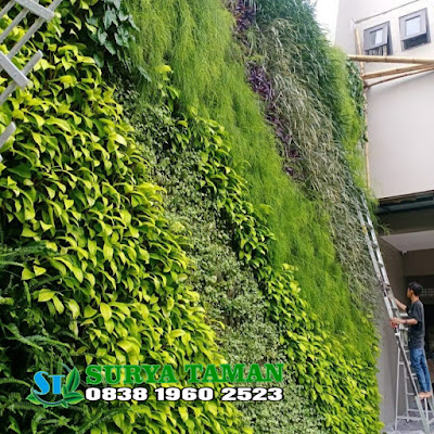 Jasa Vertical Garden Karawang | Alby flora