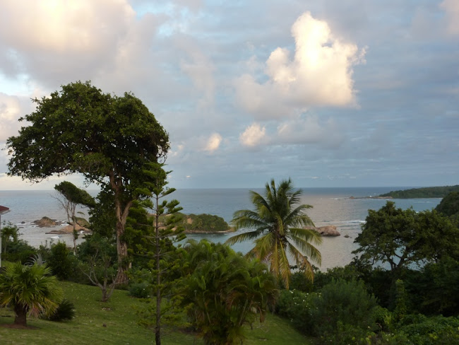 View from our cottage in Dominica