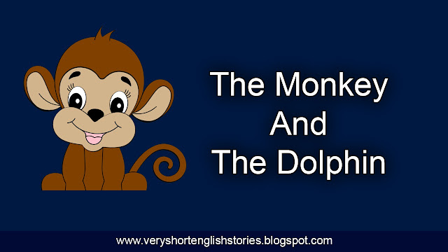 The Monkey And The Dolphin