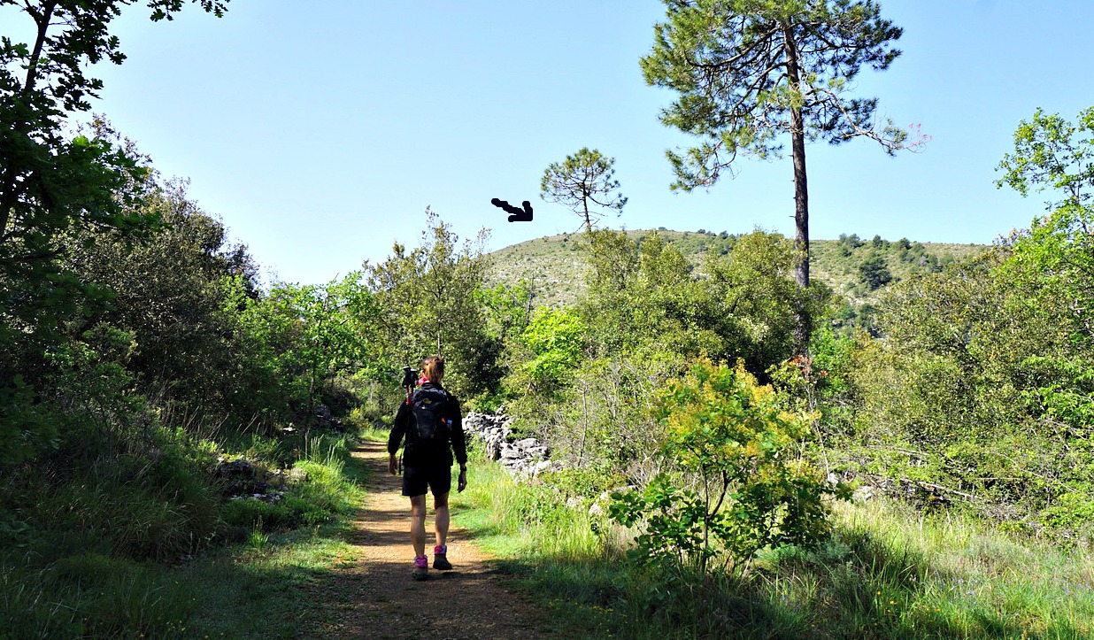 Starting to Mont Arpasse