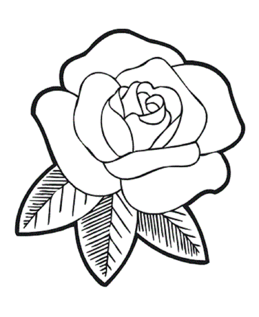 Rose Flower Coloring Pages - Flower Coloring Page