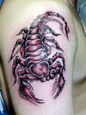 INSECT TATTOO, EXTREME TRIBALL TATTOO, TREND TATTOO 2010