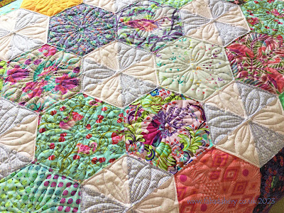 Di's Tula Pink Hexagon Quilt