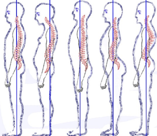 Clinical Practice Guidelines Low Back Pain Physical Therapy