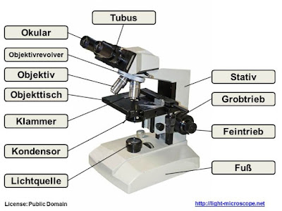 Aufbau Lichtmikroskop / Bestandteile Mikroskop