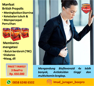 Obat Maag Herbal Tradisional British Propolis, Juragan BeePro Indramayu, Cirebon