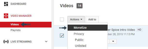 monetize single video