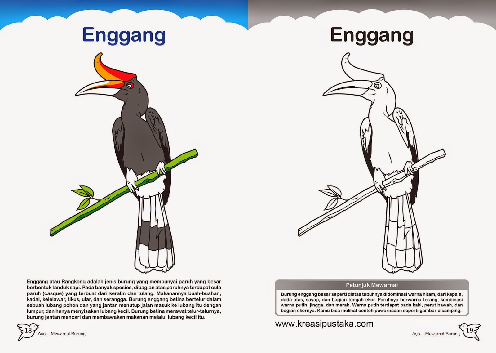 Penerbit Kreasi Pustaka Mewarnai Burung