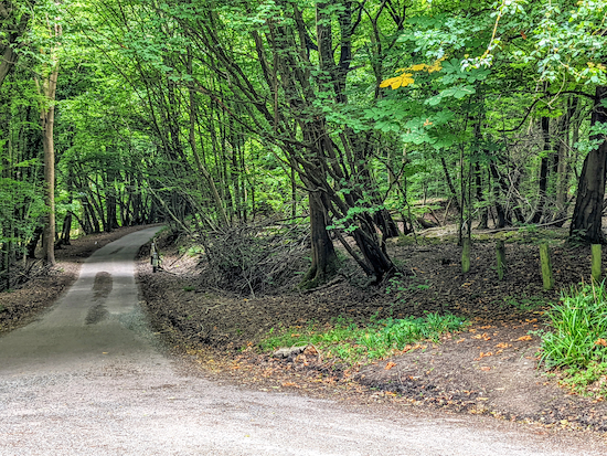 Cross Winding Short then head SW along Tewin Hill