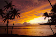 The smell was tropical. Not like sun tan lotion or mango or papaya smoothies . (hawaii sunset beach )