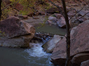 Went to zion park a couple years back with the Sutherlands.