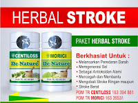 Cara Menyembuhkan Penyakit Stroke Ringan