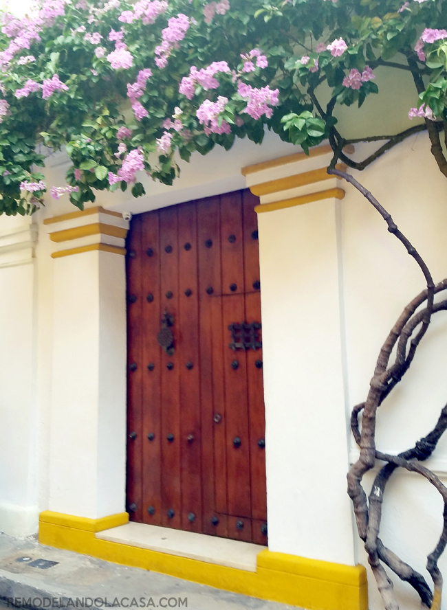 gorgeous wooden door