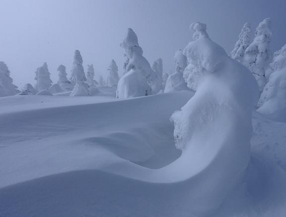 monstros de neve no japão árvores