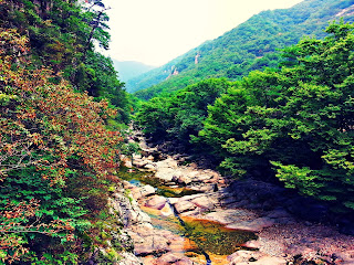 Trip to Mureung Valley and Samhwasa Temple blog | meheartsoul.blogspot.com