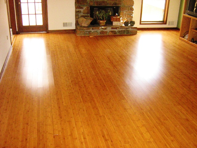 Bamboo Hardwood Floors7