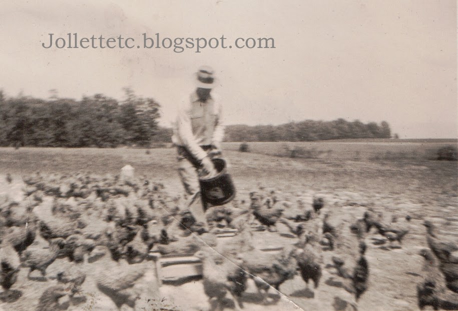 Free range chickens 1940s http://jollettetc.blogspot.com
