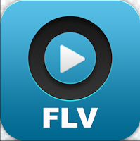 FLV Player Version 4.2.1.1