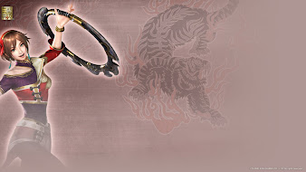 #29 Dynasty Warriors Wallpaper