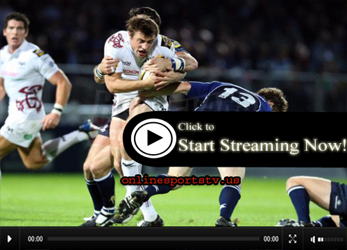Click Here To Watch Argentina Pumas vs South Africa Springboks Live Stream Online