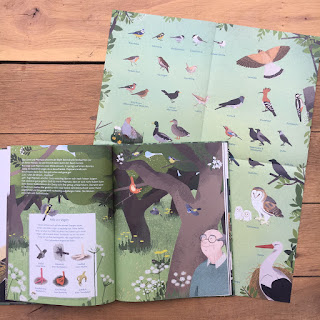 "Nennen wir dich doch Piepmatz - Ein Ausflug in die Welt der Vögel" von Hanna Müller, Hannah Stollmayer und Carla Swiderski, illustriert von Nele Anders, erschienen im Jumbo Verlag,