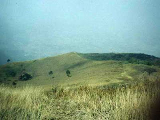 gunung guntur.