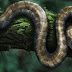 Cobra de 99 milhões de anos foi encontrada bem preservada em um âmbar